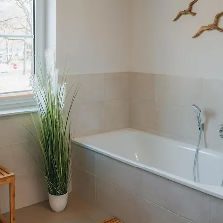 公寓 Fewo-am-sonnenstrand *